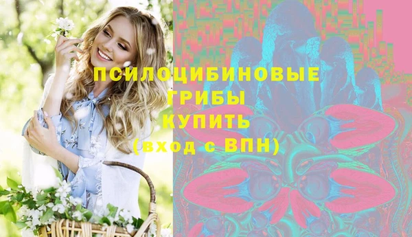 Альфа ПВП Володарск