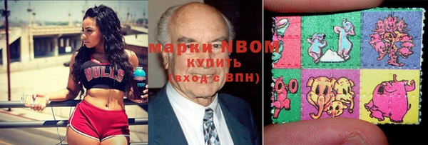 хмурый Верея
